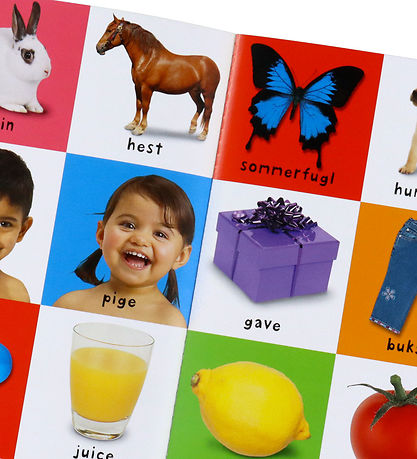 Alvilda Boks - Mine Første 100 Bokssæt - Dansk