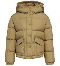 Moncler Dunjakke - Phelanta - Cognac