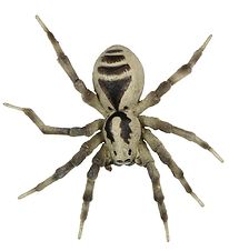 Papo Tarantula - Ø: 11,5 cm