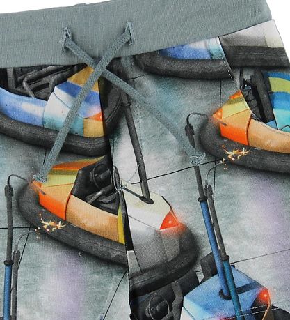 Molo Shorts - Simroy - Bumper Car Molo Shorts - Simroy - Bumper Car