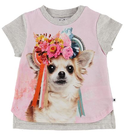 Molo T-shirt - Erin - Grey Melange/Rose w. Chihuahua Molo T-shirt - Erin - Grey Melange/Rose w. Chihuahua