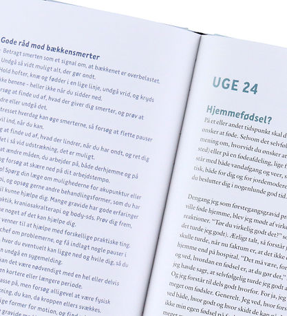 Cana Buttenschøns Bog - 40 Uger Inden - Dansk