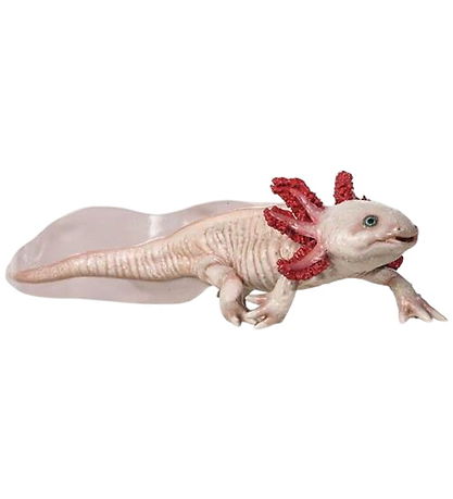 Papo Axolotl