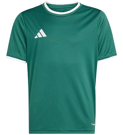 adidas Performance T-shirt - ENT26 - Drkgrn/White