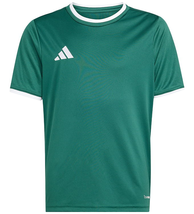 adidas Performance T-shirt - ENT26 - Mørkegrøn/White