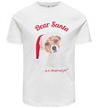 Kids Only T-shirt - KogAnimal - Cloud Dancer/Dear Santa