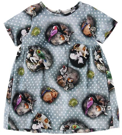 Molo Dress - Calypso - Pets'n Dots Molo Dress - Calypso - Pets'n Dots