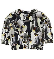 Molo Sweatshirt - Dag - Penguins Galore Molo Sweatshirt - Dag - Penguins Galore