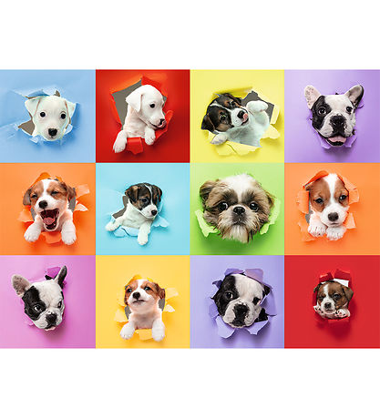 Ravensburger Puslespil - 300 Brikker - Animal Selfie