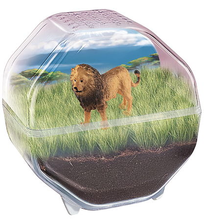 Science & Play - Mini Lion - Terrarium