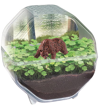 Science & Play - Mini Bear - Terrarium