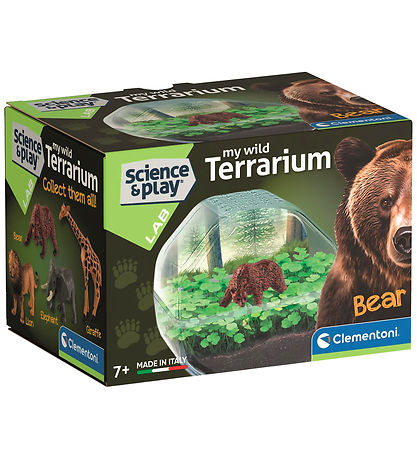 Science & Play - Mini Bear - Terrarium