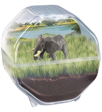 Science & Play - Mini Elephant - Terrarium