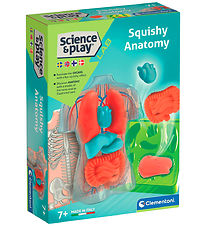 Science & Play - Mini Squishy - Organs