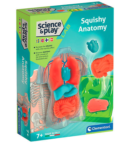 Science & Play - Mini Squishy - Organs