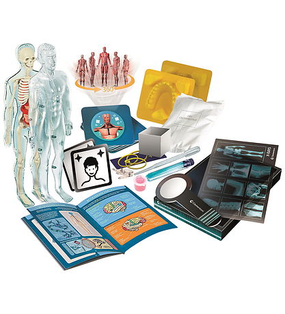 Science & Play - Kreasæt - Super Anatomy