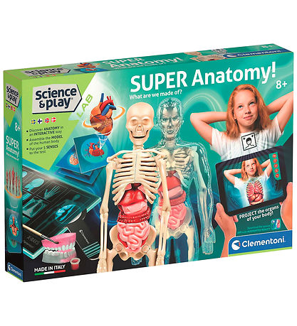Science & Play - Kreasæt - Super Anatomy