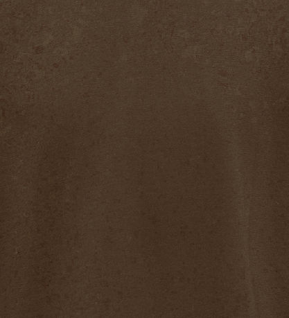 Kids Only Bluse - KogKamil - Bracken/Tonal Lace