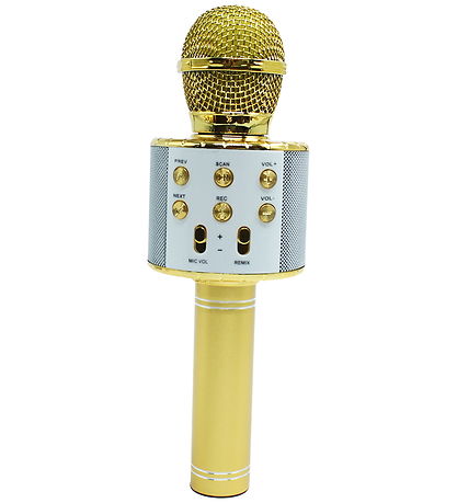 Music Microphone - Lightning Karaoke