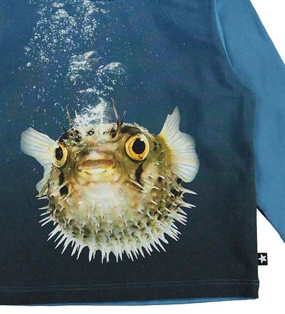 Blouse Molo - Enovan - Poisson-globe
