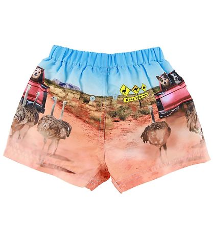 Molo Badeshorts - UV50+ - Newton - In The Bush Molo Badeshorts - UV50+ - Newton - In The Bush