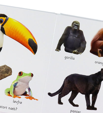 Alvilda Bog - Min Lille Regnbuebog - Første Dyr - Dansk