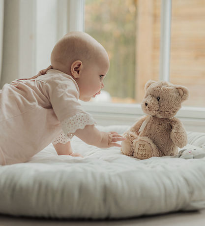Teddykompaniet Bamse - 28 cm - My First Teddy