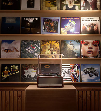 Mini Brands Kugle m. Overraskelse - Serie 1 - Vinyls Capsule
