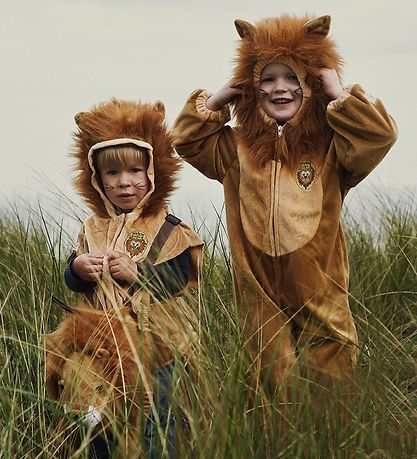Souza Costume - Lion Souza Costume - Lion