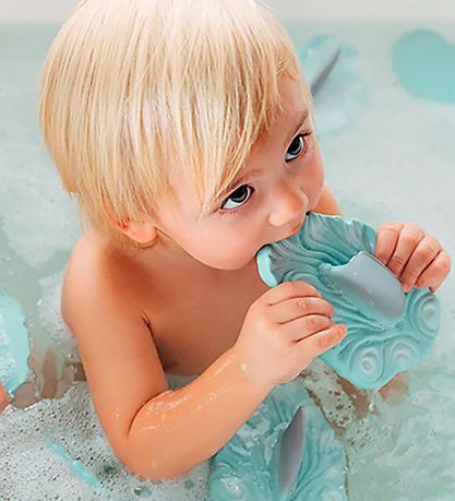 Jouet Pour le Bain Oli & Carol - Caoutchouc Naturel - Requin - B Jouet Pour le Bain Oli & Carol - Caoutchouc Naturel - Requin - B