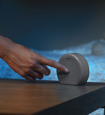 Reer Vågelampe - 8,5x7,5x2,5 cm - Kanin