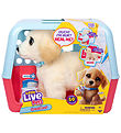 Little Live Pets - Ouchies