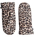 Markberg Luffer - CelinaMBG - Leopard