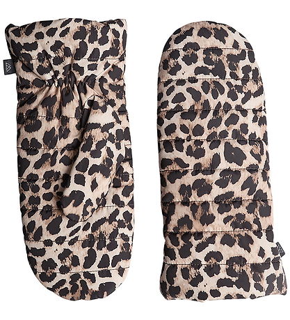 Markberg Luffer - CelinaMBG - Leopard