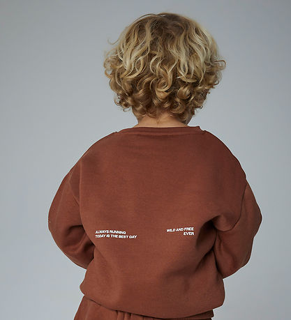 Name It Sweatshirt - NmmOkian - Carob Brown