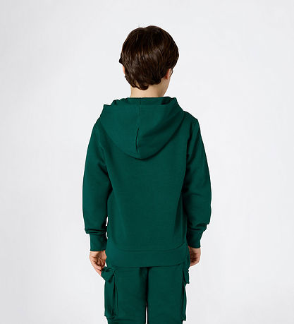 Champion Kapuzenpullover - Forest Gipfel Green