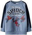 Name It Sweatshirt - NmmObert - Spider - Flint Stone