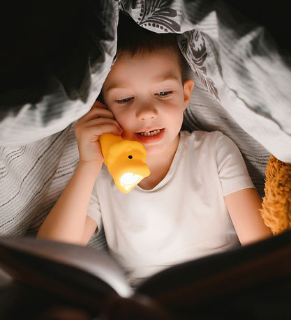 Little L Lommelygte - Silicone - Lion