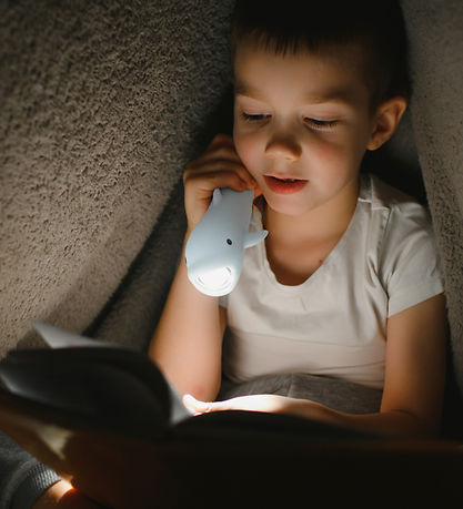 Little L Lommelygte - Silicone -  Dolphin