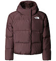 The North Face Dunjakke - Down - Tawny Quartz