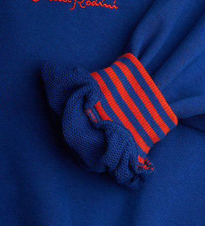 Mini Rodini Sweatshirt - Striped Earth - Blå
