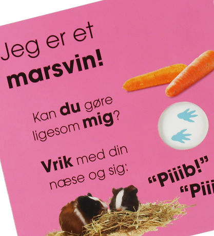 Livre Forlaget Tukan - Qui suis-je? Animaux de compagnie Livre Forlaget Tukan - Qui suis-je? Animaux de compagnie