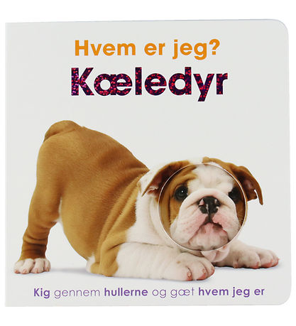 Livre Forlaget Tukan - Qui suis-je? Animaux de compagnie Livre Forlaget Tukan - Qui suis-je? Animaux de compagnie