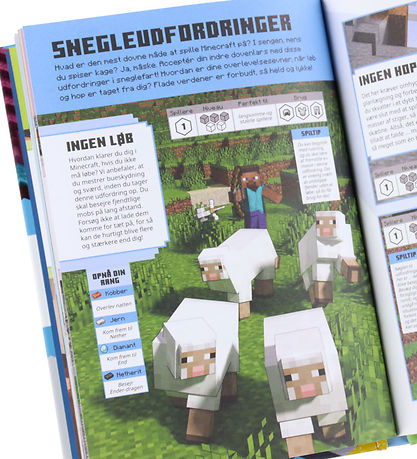 Alvilda Bog - Minecraft - Udfordringer I Survival - Eventyrudgav