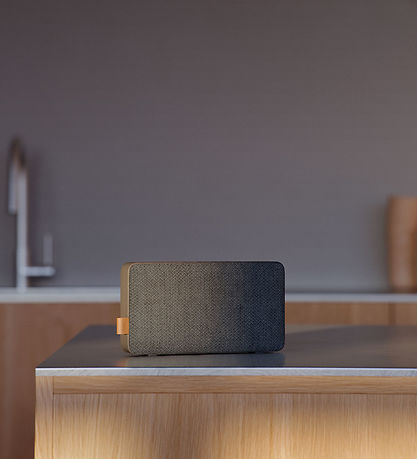 SACKit Højtaler - Move 50 - Steel