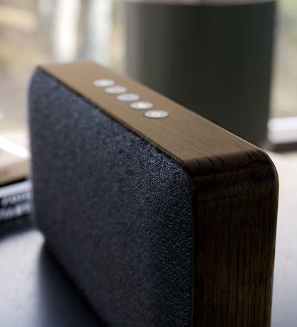 SACKit Højtaler - Move Wood - Smoked Oak