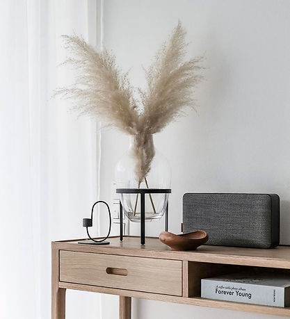 SACKit Højtaler - Move 50 - Steel