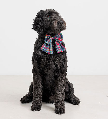 MarMar Hårspænde - Alina L - Pilot Navy Check