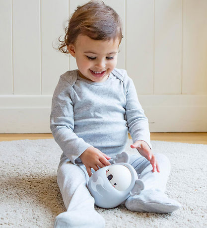 Tiger Tribe Rangle - Roly Poly Koala