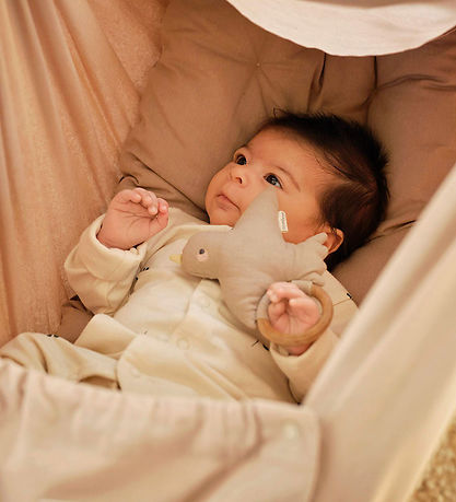 Moonboon Rangle - Fulg - Earth